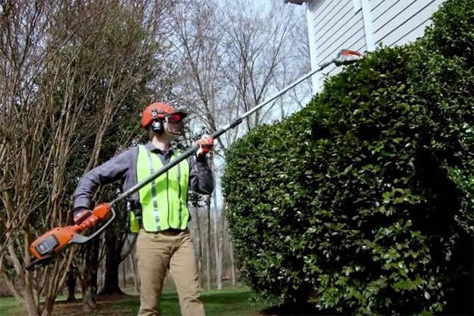 Premium Long Reach Hedge Trimmer